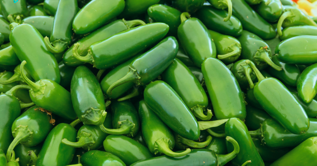 The Best Superfoods AZ J is for Jalapenos