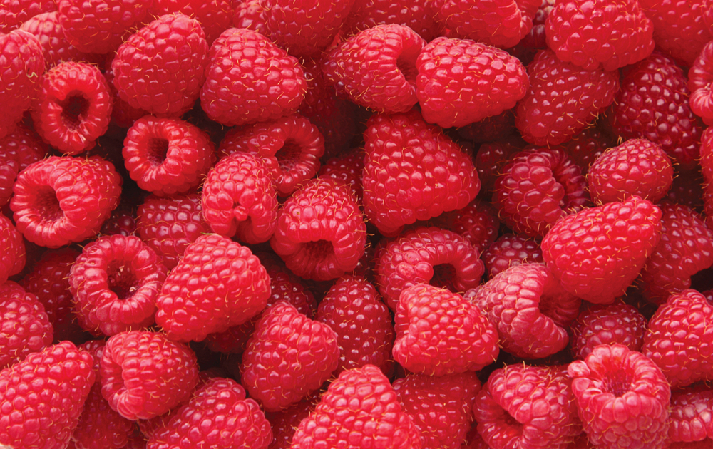 The Best Superfoods A to Z R is for Raspberries