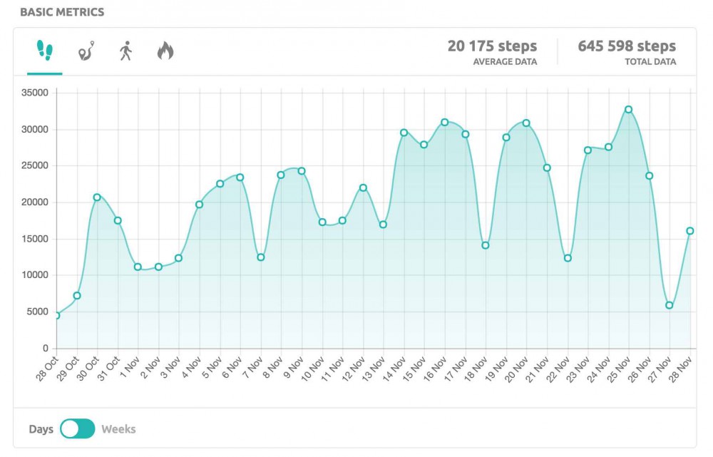 Basic Stats Widget on Stats page on inKin Social Fitness Platform