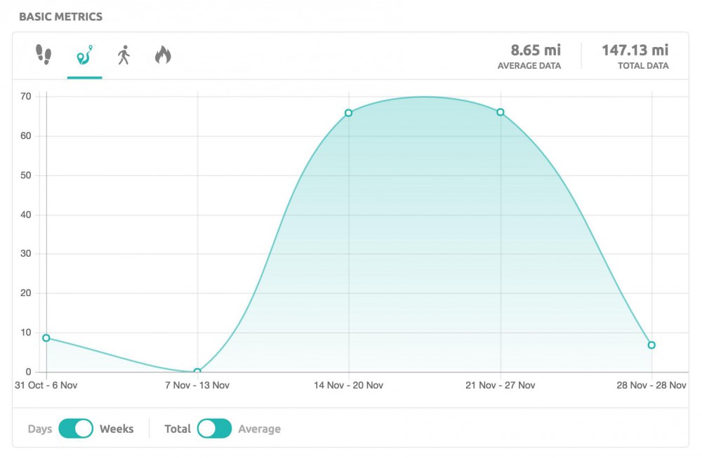 Basic Stats Widget on Stats page on inKin Social Fitness Platform