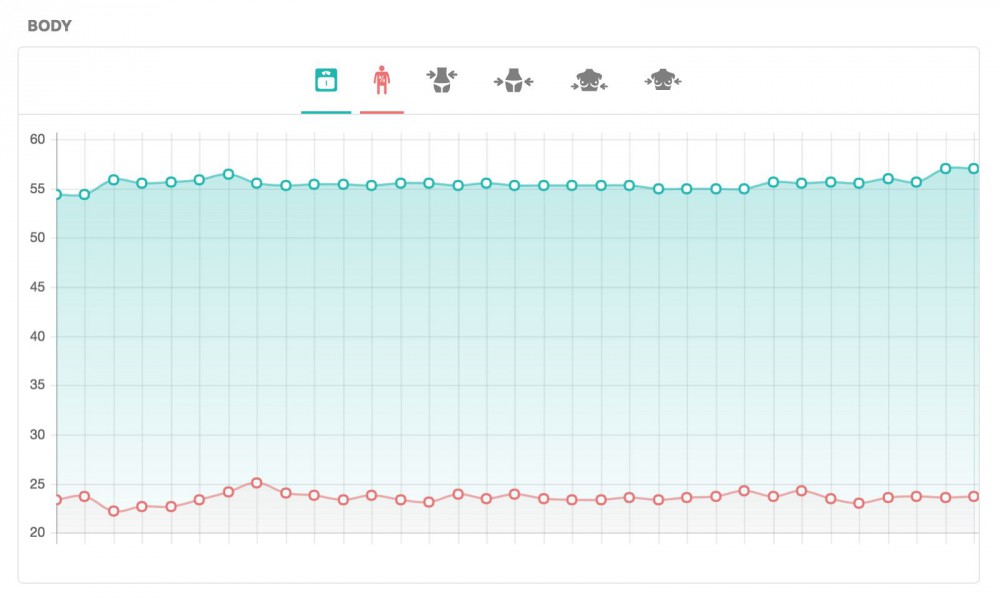 Body Widget on Stats page on inKin Social Fitness Platform