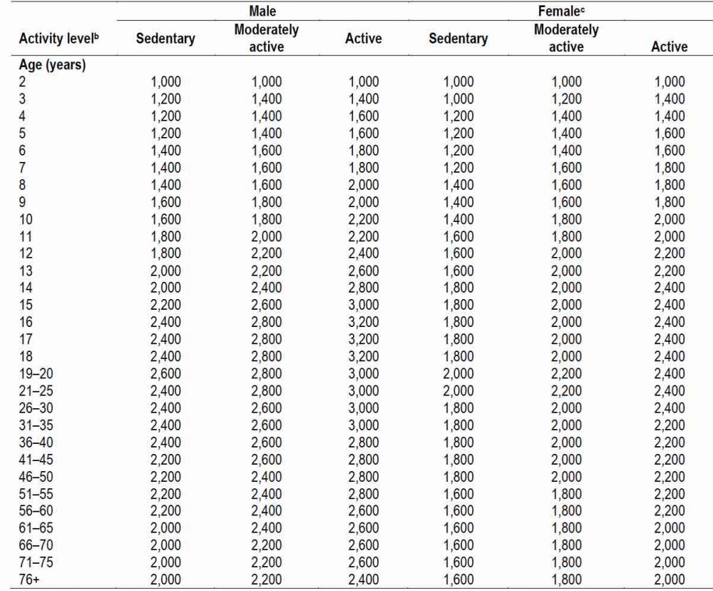 Recommended Calorie Intake