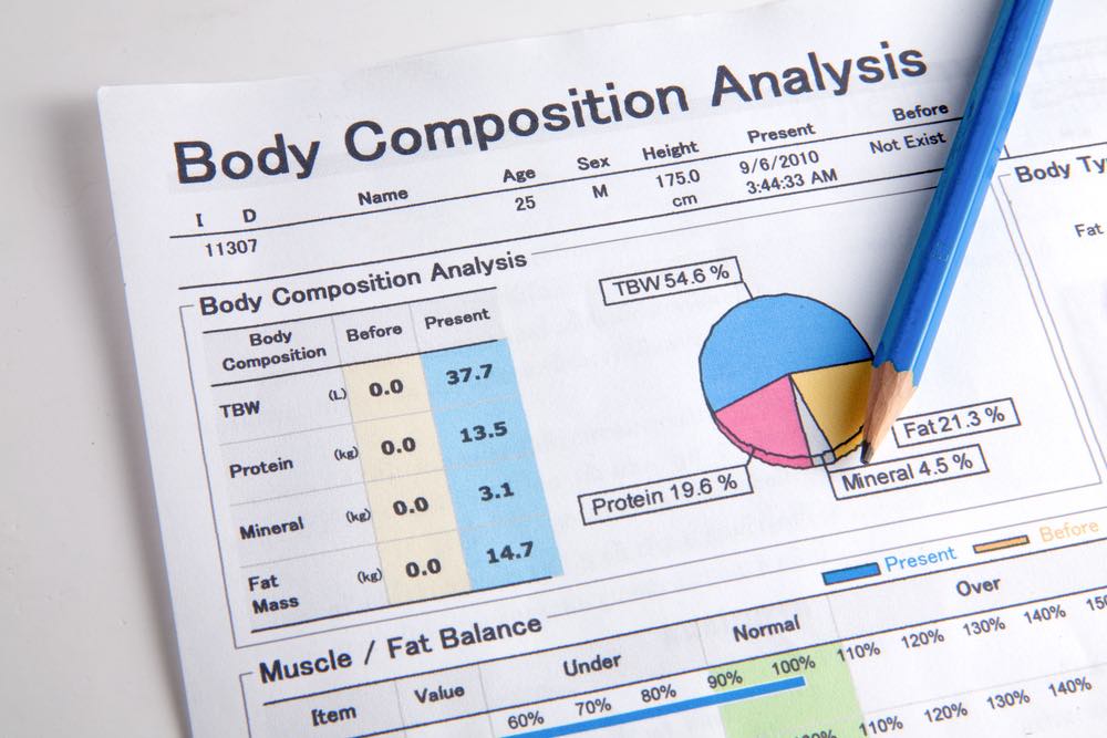 Body Composition | inKin Fitness Blog