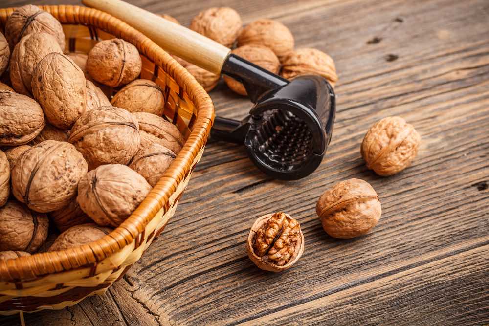 Walnuts | inKin Fitness Blog