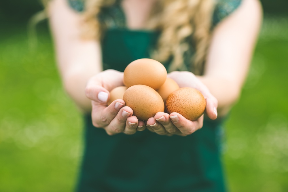 Eggs | inKin Fitness Blog