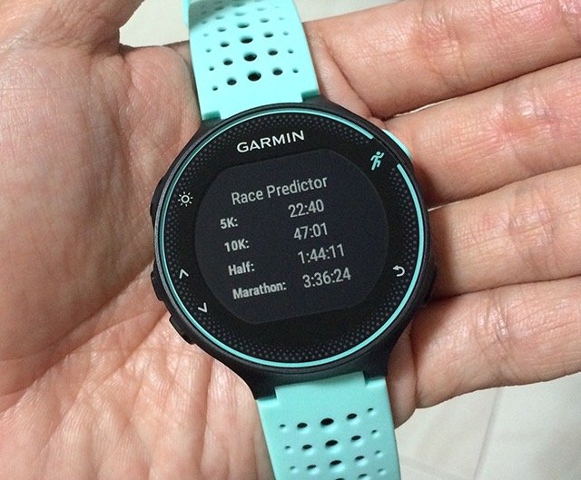 Garmin Forerunner 235 | inKin Fitness Blog