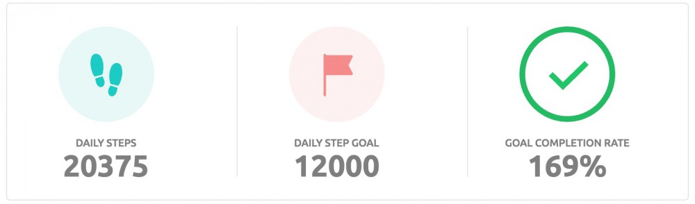 Goals Widget on Stats page on inKin Social Fitness Platform