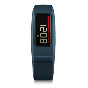 Garmin Vivofit 2 Fitness Tracker on inKin Blog