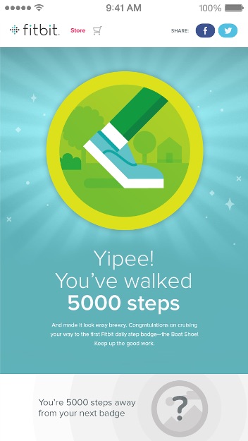 Fitbit App on inKin Social Fitness Blog 