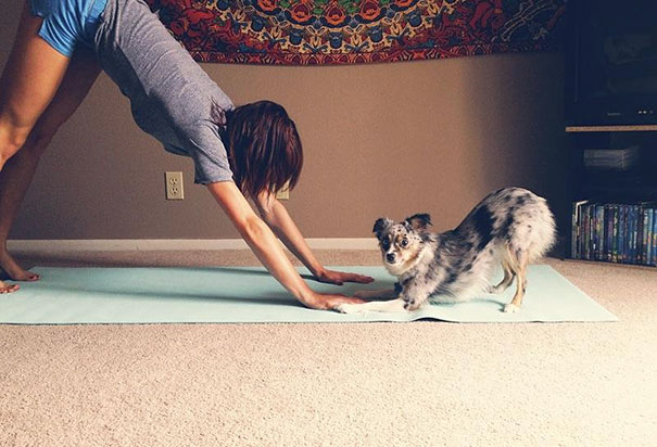 Doga | inKin Fitness Blog