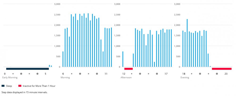 How I made 100.000 steps in 1 day | inKin Fitness Blog