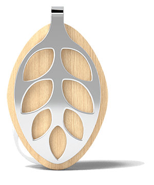 Bellabeat Leaf fitness tracker