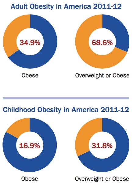 Obesity facts in the United States
