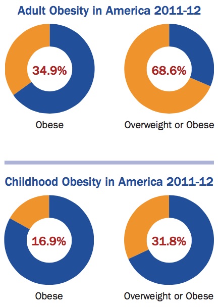 Obesity In America Pie Chart