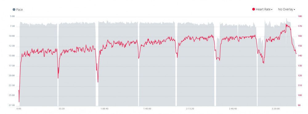 How I made 100.000 steps in 1 day | inKin Fitness Blog