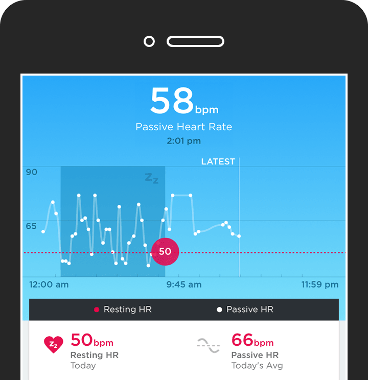 Jawbone Up3 Size Chart