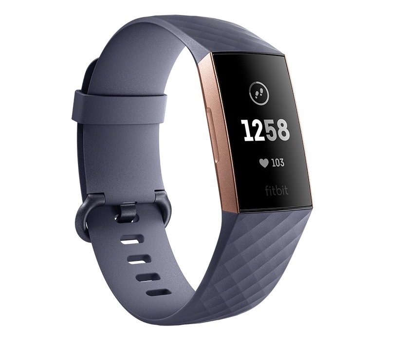 Wearable Steps Distance Activity Burned Calories Pulse (HR) Floors Climbed Swim Fitbit Charge 3